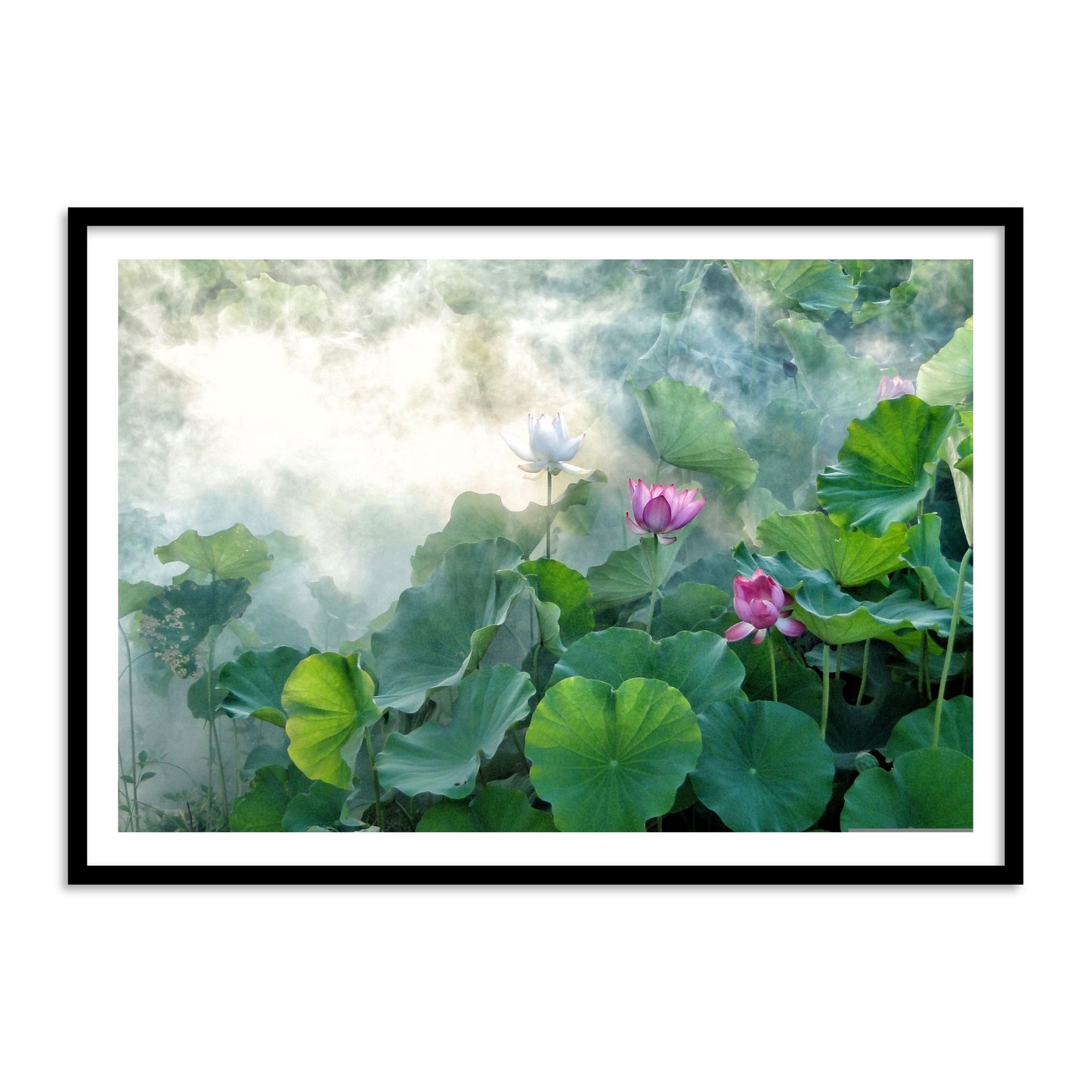 Beautiful Lotus Flower Vastu Painting for Wall Decor