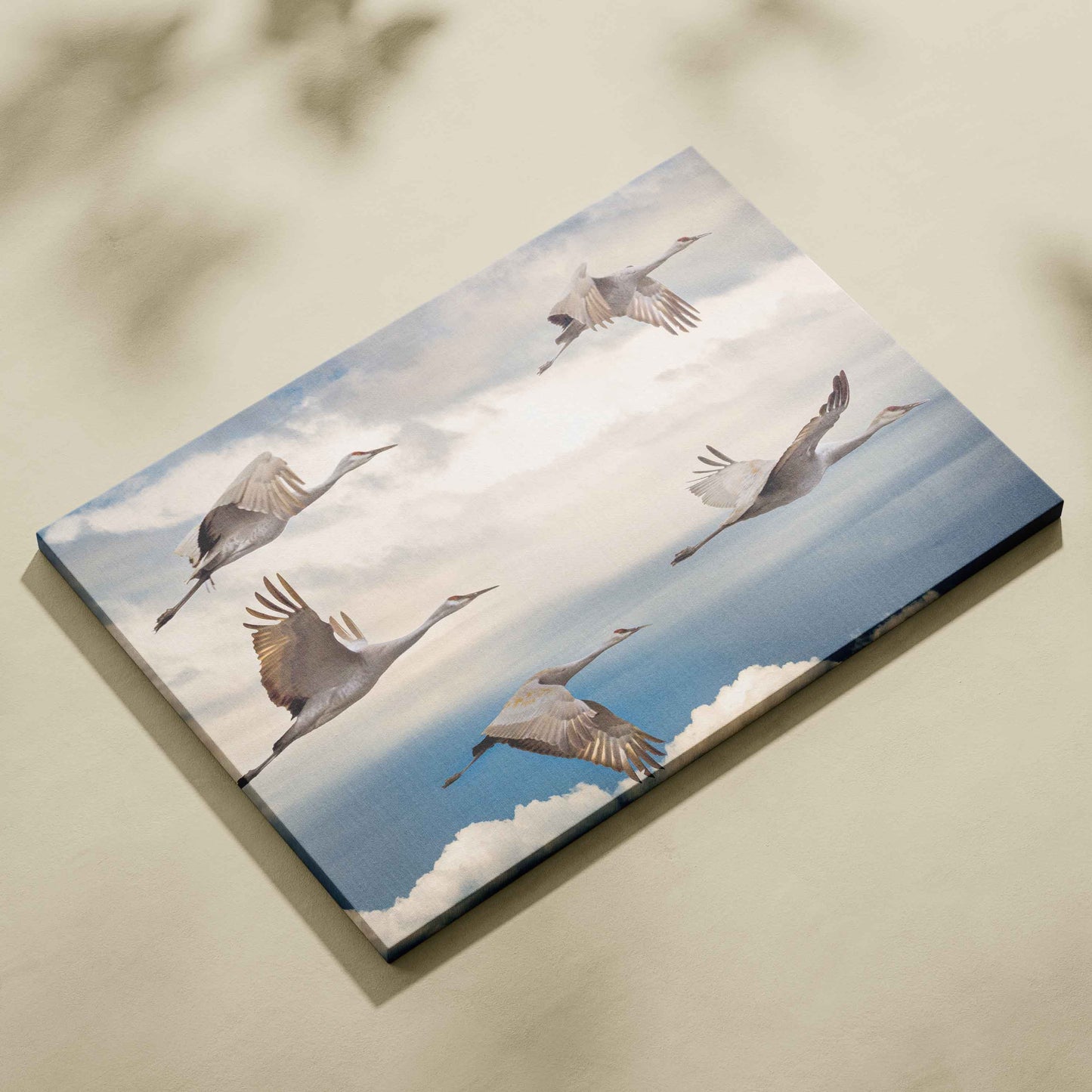 High Flying Birds in Clouds Vastu Painting for Wall Decor
