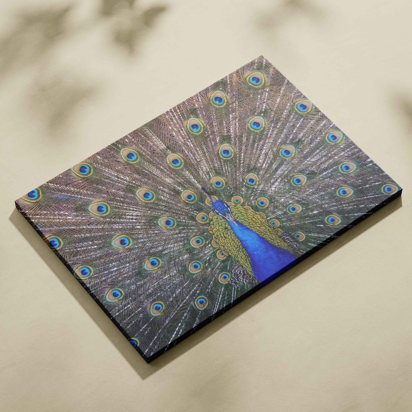 Peacock Feather Vastu Painting for Wall Decor