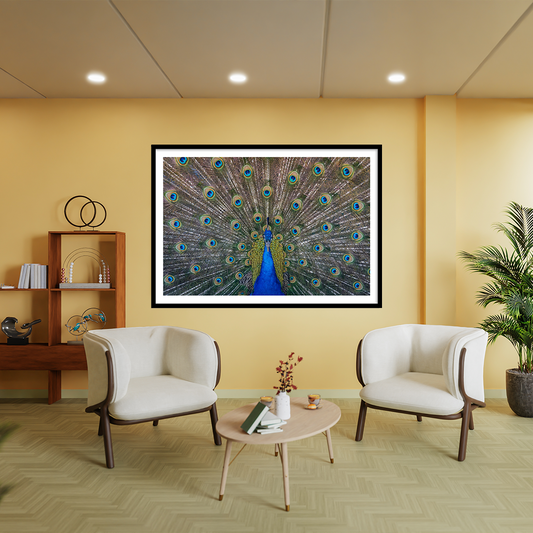 Peacock Feather Vastu Painting for Wall Decor