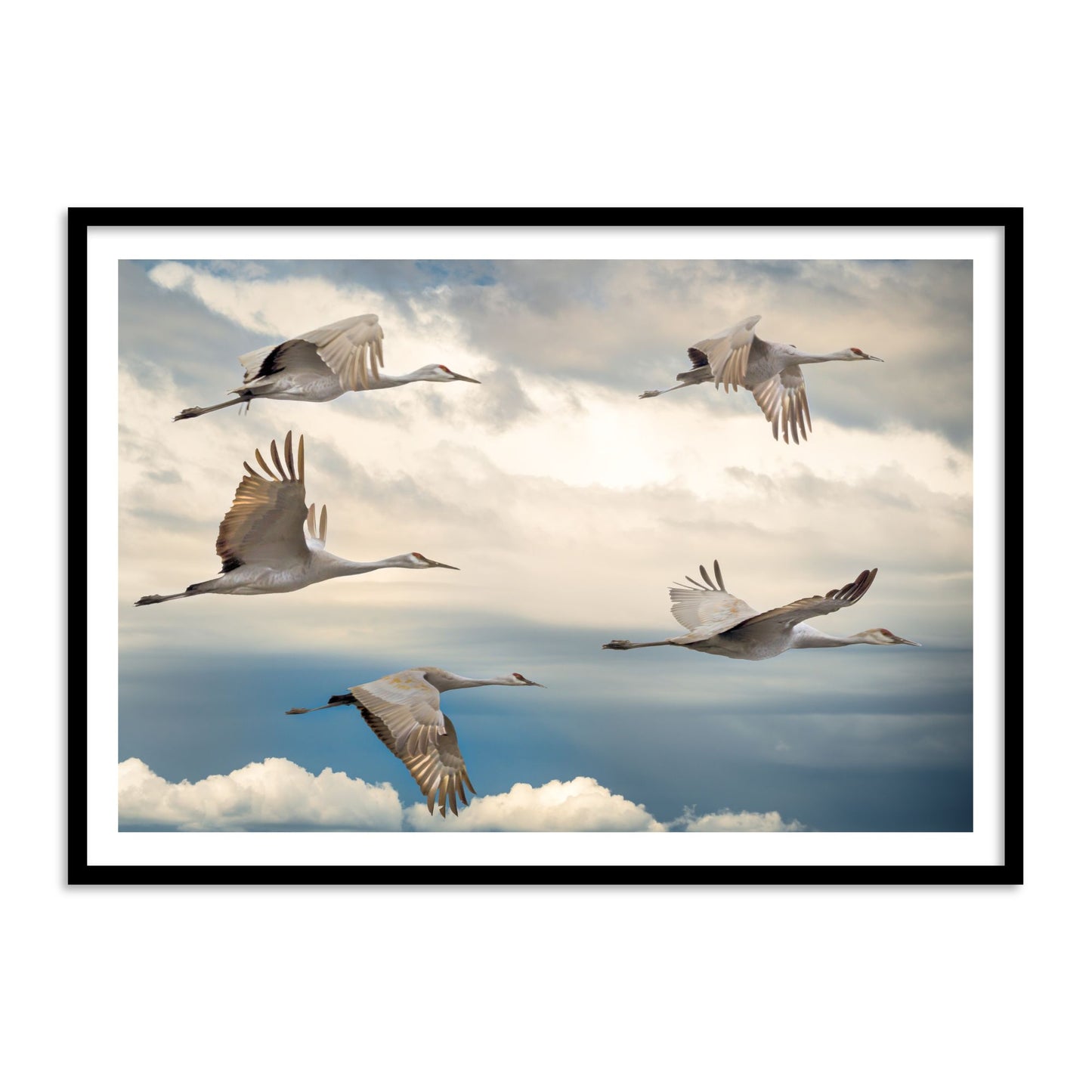 High Flying Birds in Clouds Vastu Painting for Wall Decor