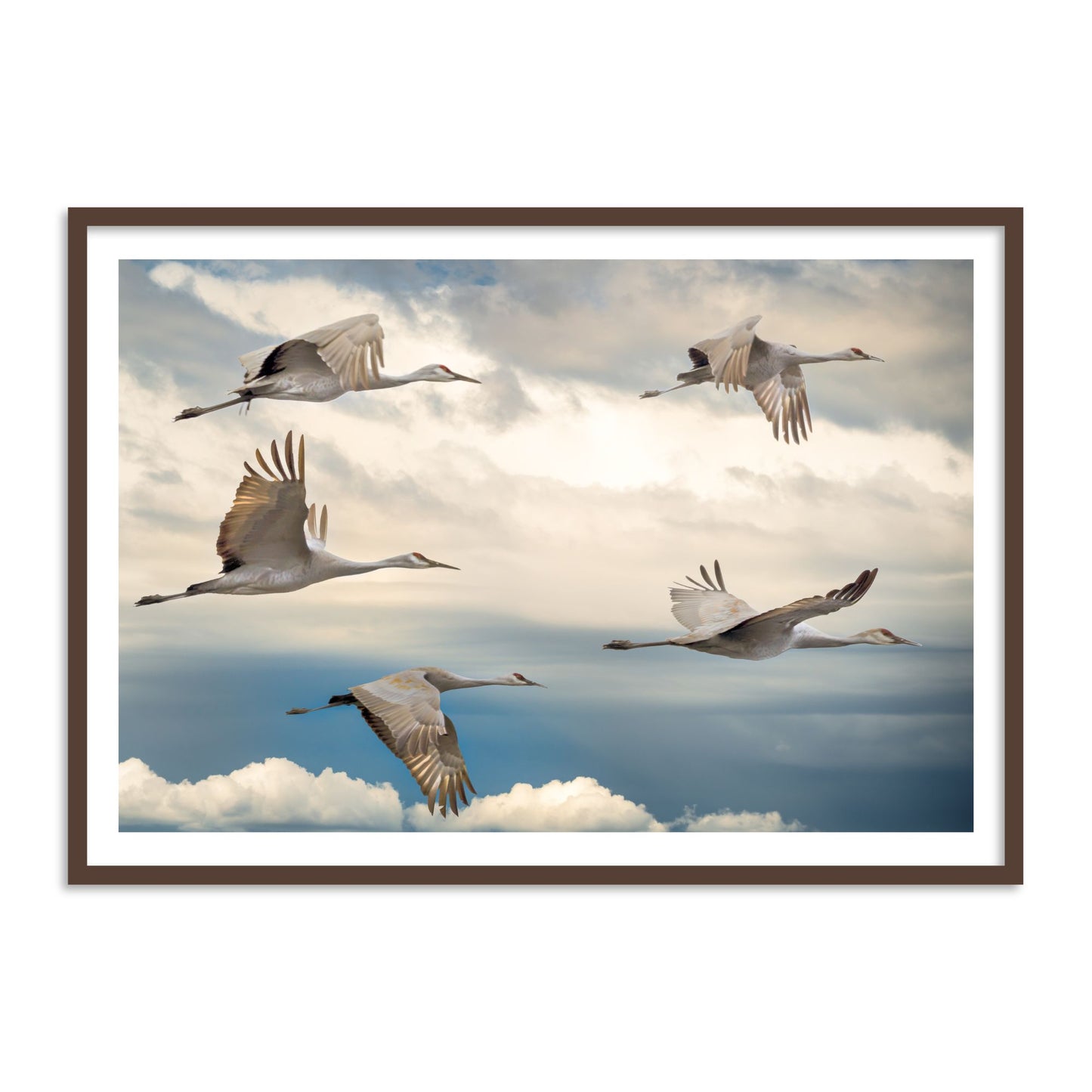 High Flying Birds in Clouds Vastu Painting for Wall Decor