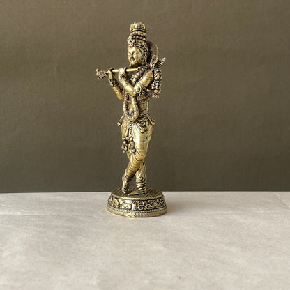 Krishna Ji