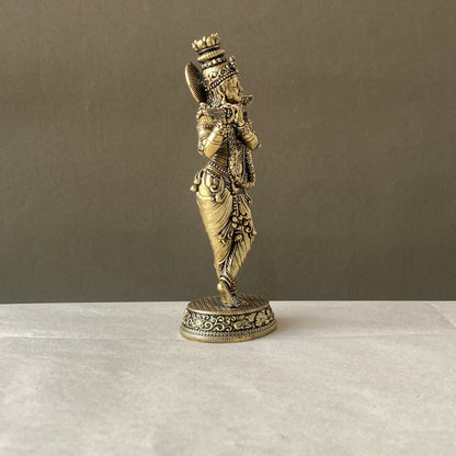 Krishna Ji