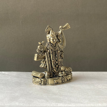 Shreenathji