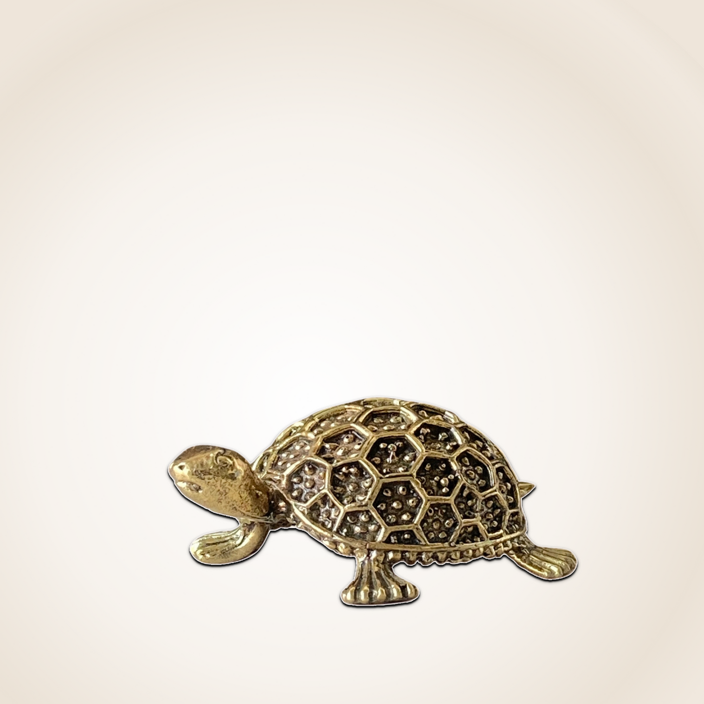Sacred Brass Tortoise Idol – Ideal for Good Luck & Balance