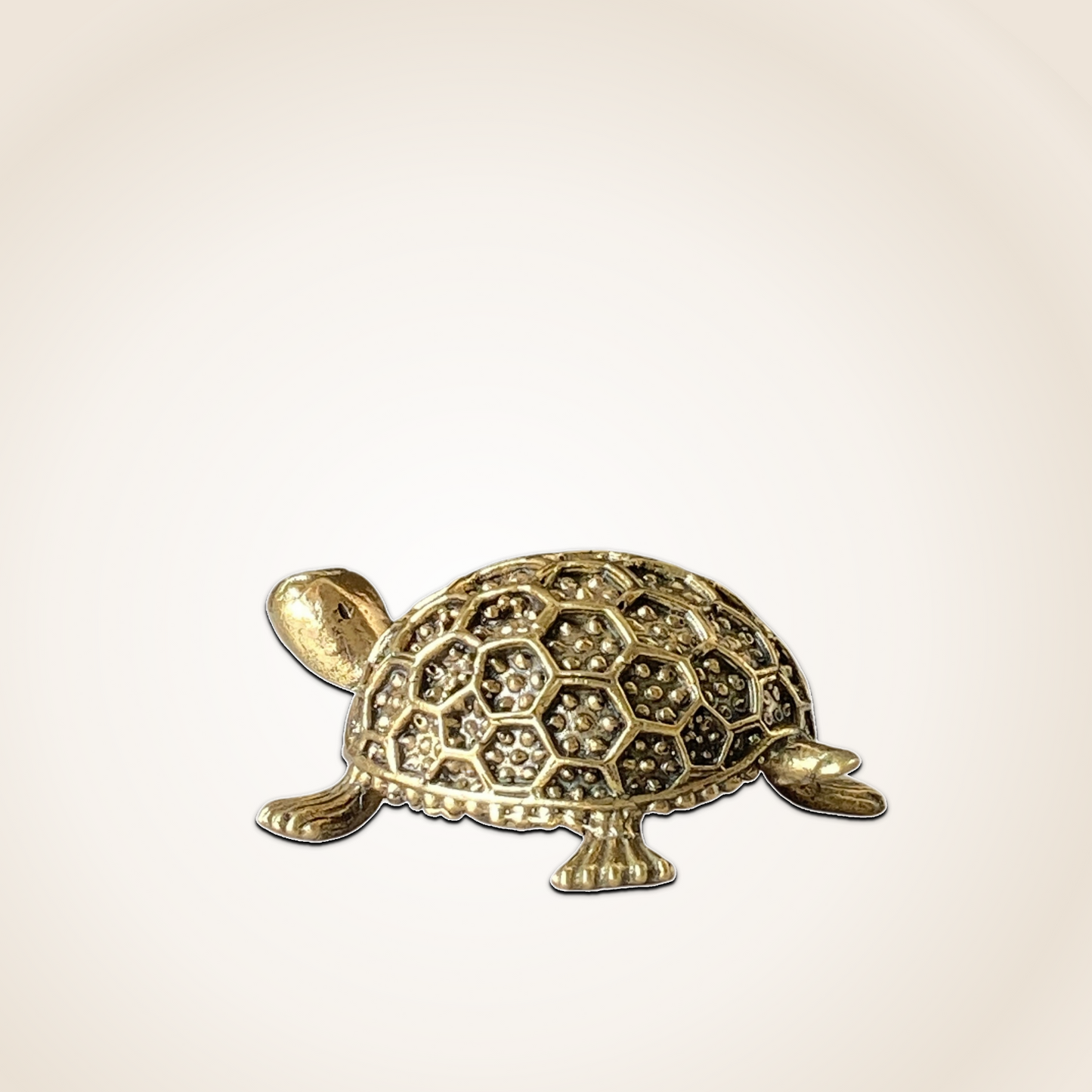 Sacred Brass Tortoise Idol – Ideal for Good Luck & Balance