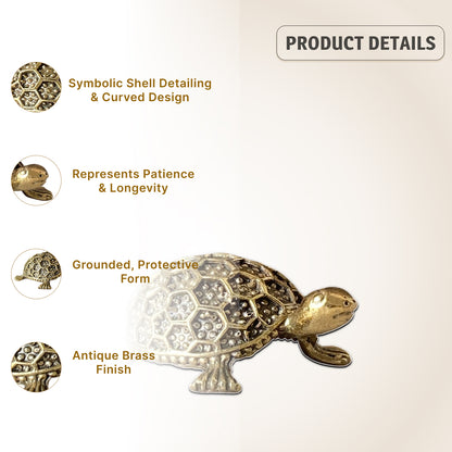 Sacred Brass Tortoise Idol – Ideal for Good Luck & Balance