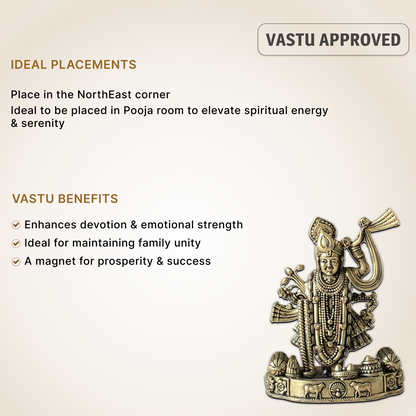 Elegant Shreenathji Brass Idol – Devotional Decor
